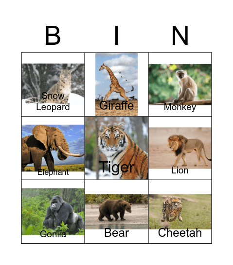 Zoo Animals! Bingo Card
