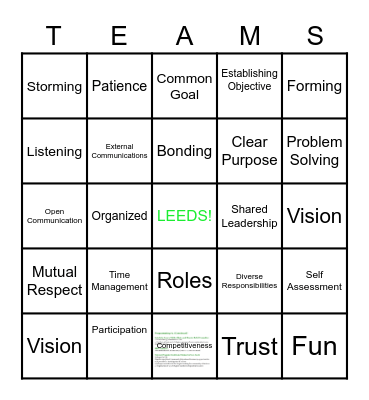 Team Charactertics Bingo Card