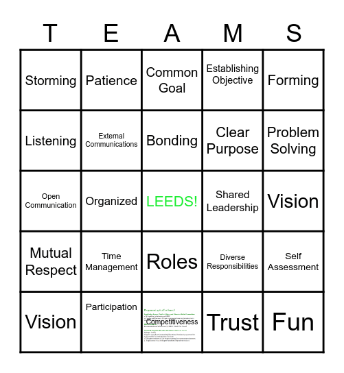 Team Charactertics Bingo Card