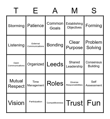 Team Charactertics Bingo Card