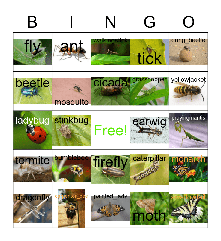 Insect BINGO Card for Free Printable Bug Bingo Printable