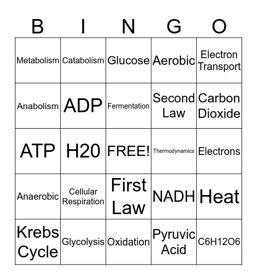 Cellular Respiration Bingo Card