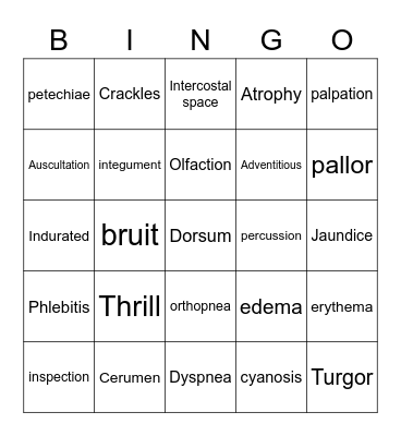 Unit Three Bingo Card