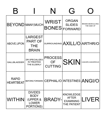 PREFIXES/COMBINING FORMS/MISC. Bingo Card