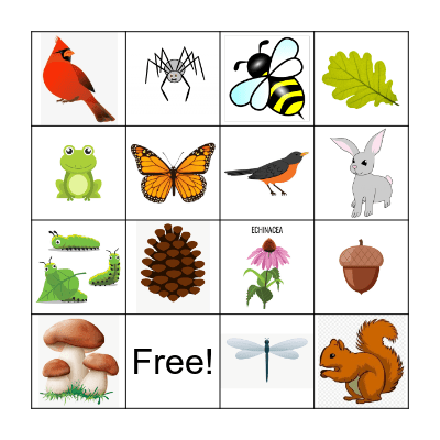 Nature Bingo Card