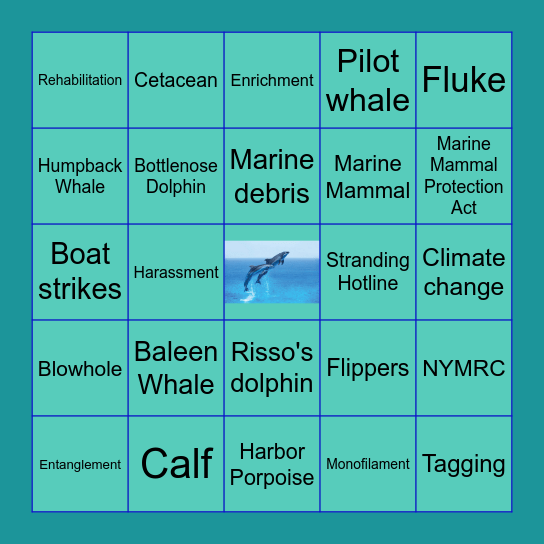 Cetacean Bingo Card