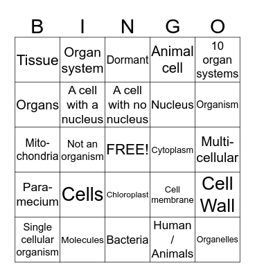 Science Bingo Card