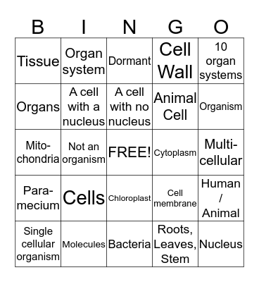 Science Bingo Card