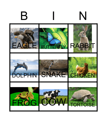 ANIMALS BINGO Card