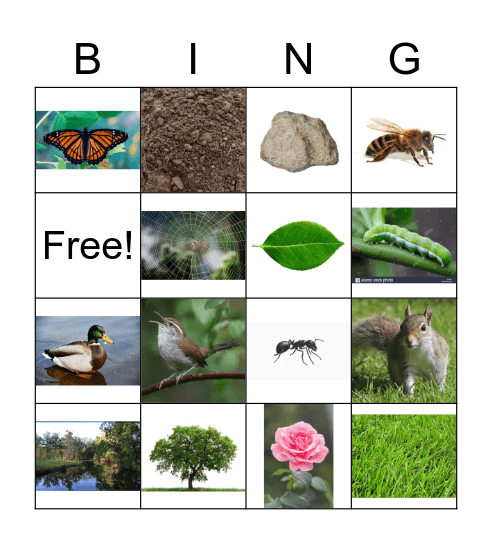 Things you find in a park... Bingo Card