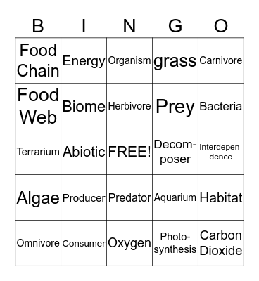 Ecosystems Bingo Card