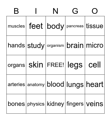 Anatomy Bingo Card