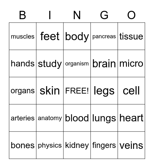 Anatomy Bingo Card