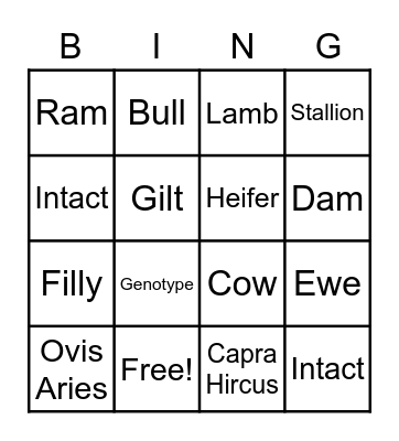 Basic Animal Management Vocabulary Bingo Card