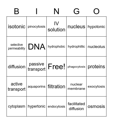 Cells & Cell Transport Bingo Card