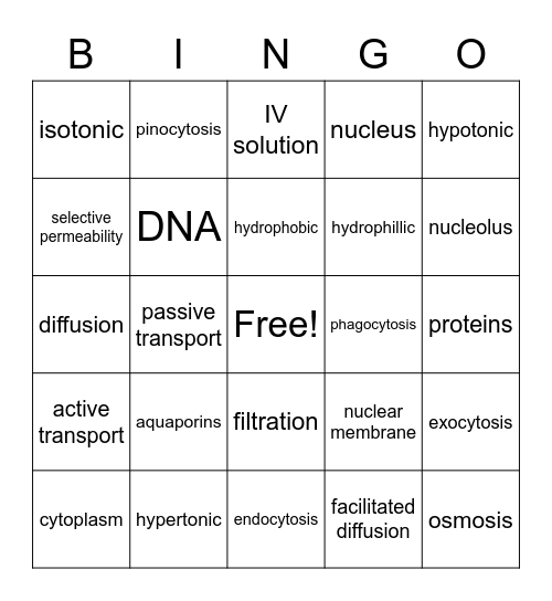 Cells & Cell Transport Bingo Card