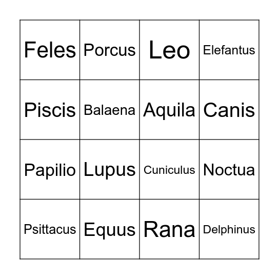 Latin Animal Bingo Card