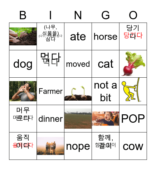 The Farmer and The Beet Bingo Card