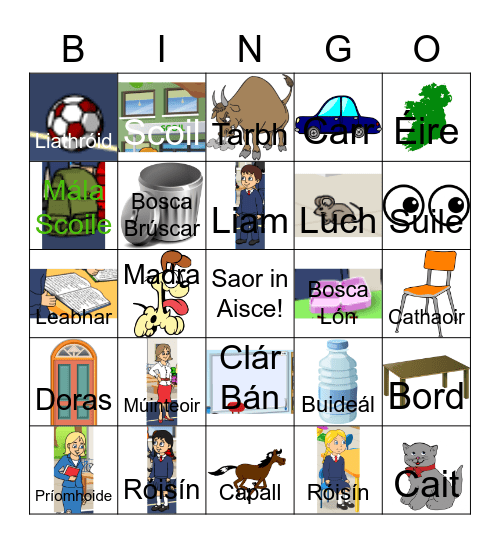 Mé Féin Bingo Card