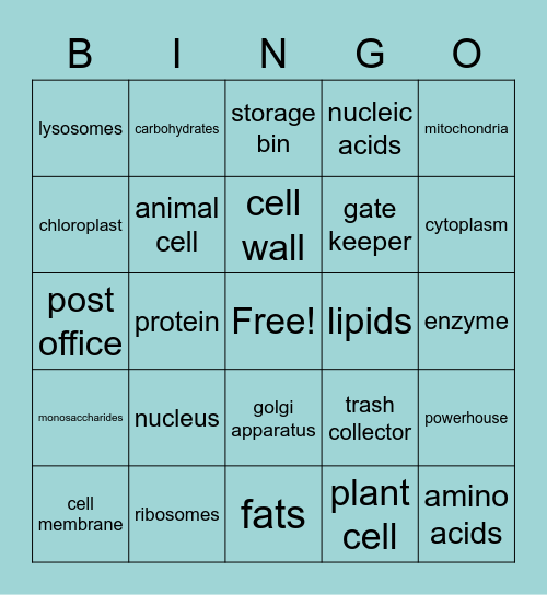Organelles and Macromolecules Review Bingo Card