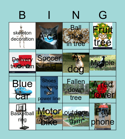 Real Life Bingo Card