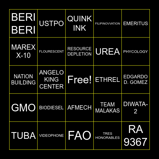 STS BINGO 1 Bingo Card