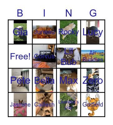 Pet Bing Bingo Card