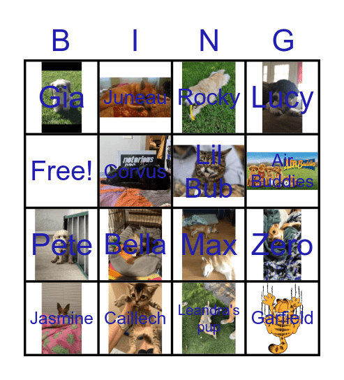 Pet Bing Bingo Card
