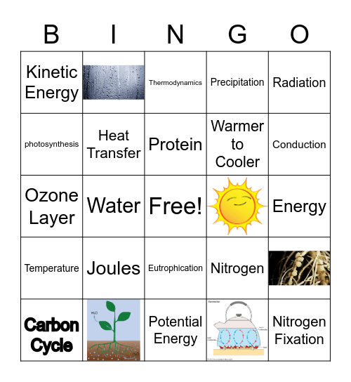 Unit 2 Cycles Bingo Card