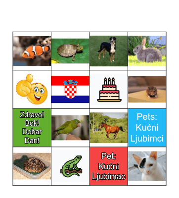 Pets: Kućni Ljubimci  Extra Bingo Card