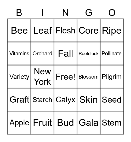 Apples Bingo Card