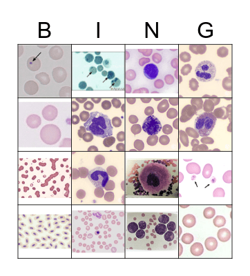 Hematology Bingo Card