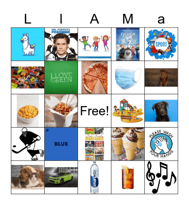 Llama Lovers Bingo Card