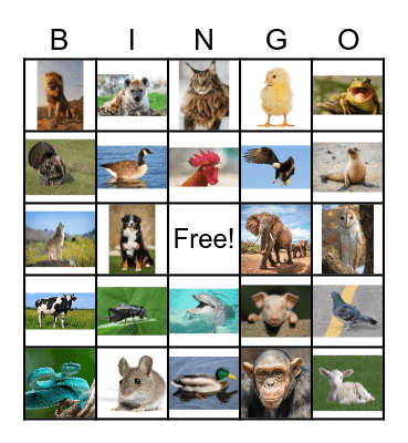 Animal Sounds Bingo Card