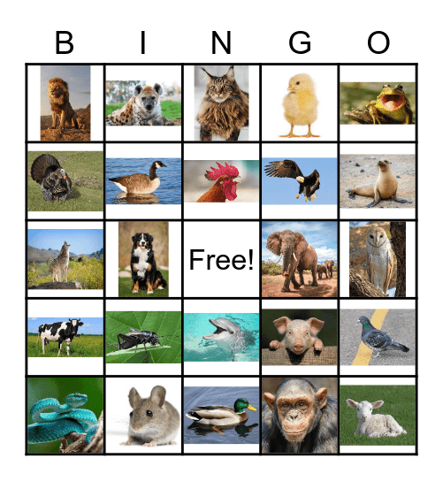 Animal Sounds Bingo Card