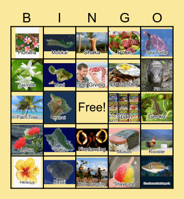 Things in Hawaii Bingo Card