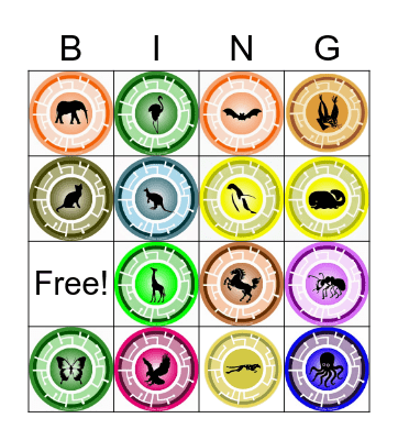 zoom class bingo