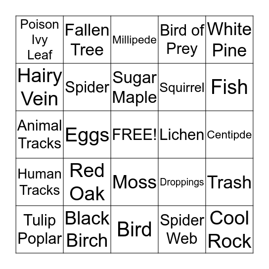 Leave No Trace Bingo! Bingo Card