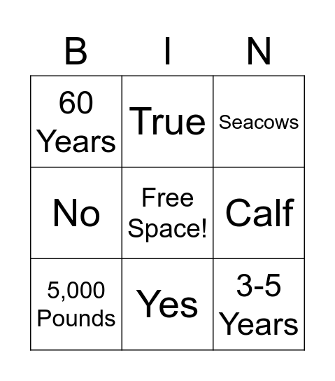 Manatee Bingo Card