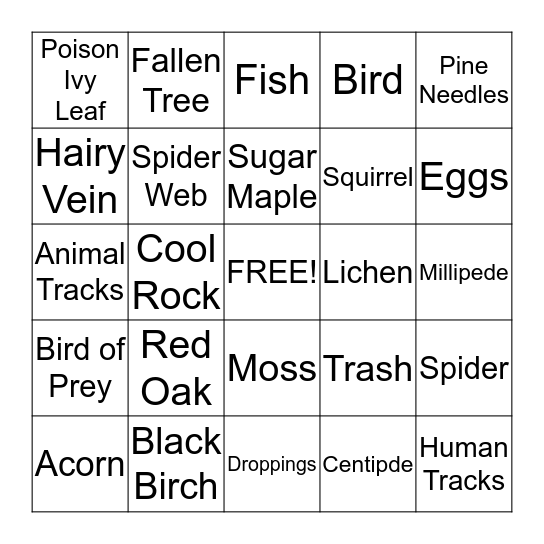 Leave No Trace Bingo! Bingo Card