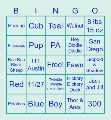 Beyer Baby Shower Bingo Card
