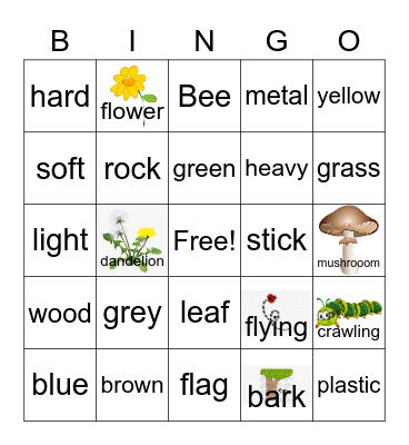 Outside Bingo Card