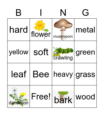 Outside Bingo Card