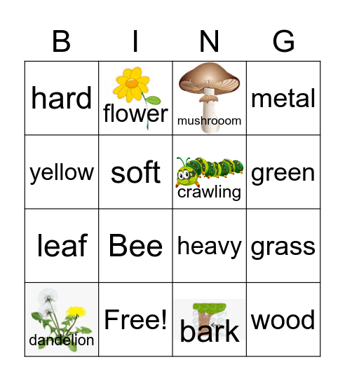 Outside Bingo Card