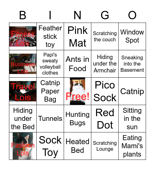 Lois Bingo Card