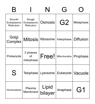 Cells/Mitosis Bingo Card