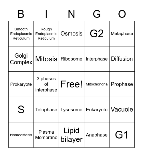 Cells/Mitosis Bingo Card