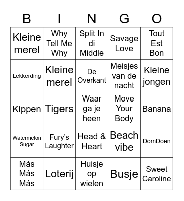 vv Zundert Bingo Card