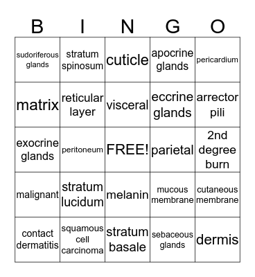 Integumentary System Bingo Card