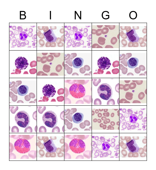 Hematology Cell Identification Bingo Card